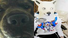 \